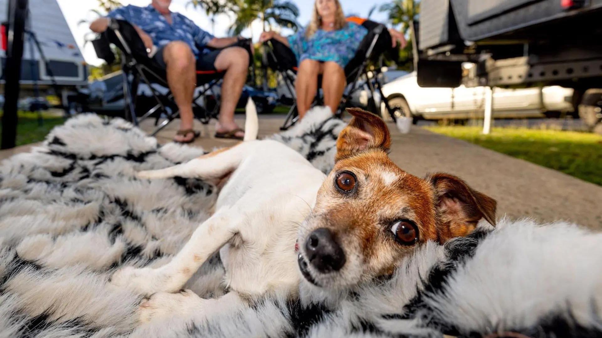 Big4 Whitsundays Tropical Eco Resort Airlie Beach Holiday park
